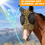 Stylish Horse Face Mask for Effective Mosquito Protection, Polyester Bug-Proof Mask, Type+1, Adjustable Size 5