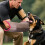 Bite Sleeve Dog Training | Professional Durable Training Equipment, Foldable Tug Tool for Exercise, Strong Material 2