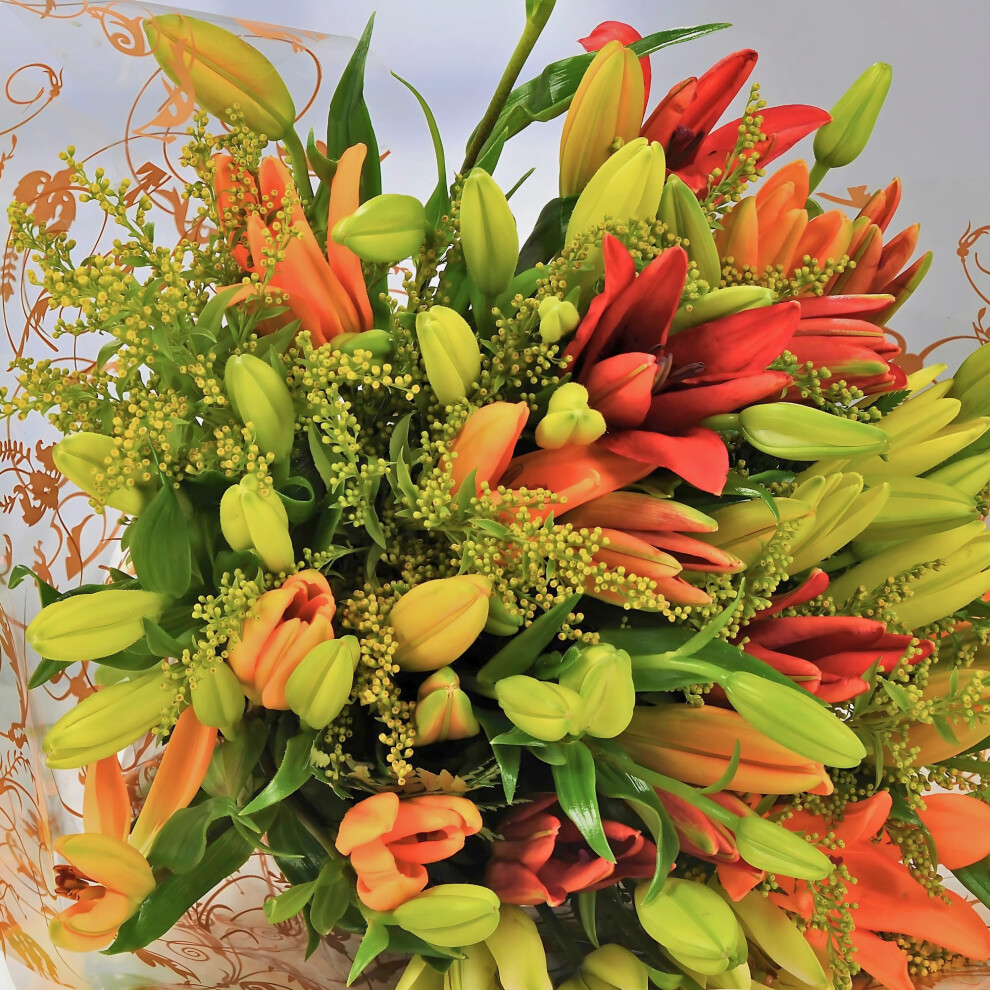 Homeland Florists Asiatic Lily Fresh Flowers Delivery Next Day Prime, Send a Luxury Gift Wrapped Bouquet of Lilies with Personalised Handwritten Card-image-OPC-PK65D6X-NEW