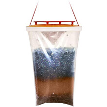 Red Top Fly Trap x 2