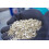 PLANT!T Vermiculite 10L 4