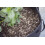 PLANT!T Vermiculite 10L 3