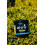 REDMOND Re-Lyte Electrolyte Drink (Mango) 4