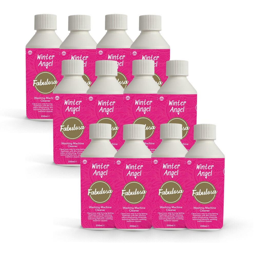 Fabulosa Limescale Remover And Washing Machine Freshener, Odour Removing, Deep Cleaning Washing Machine Cleaner, 250Ml, 12 Pack, Winter Angel