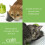 Catit Catit Senses Wellness Centre,Green 3