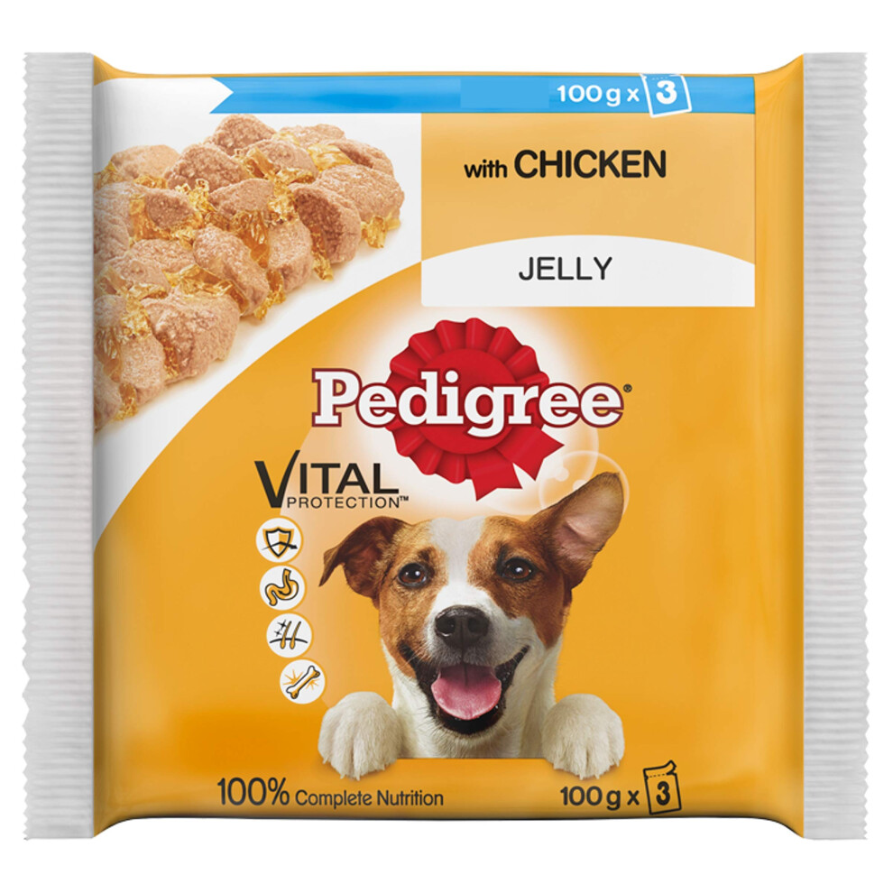 Pedigree Adult Chunks Rich Chicken In Jelly 14 X (3 X 100 G)