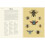 Insectarium: (Welcome To The Museum) 4