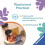 Ravensburger Ravensburger Play+ Search & Shine - Sensory Book 4