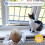 BABYGO Window Restrictor - Child Proofing & Cat Lock for UP 2