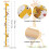 Outivity Baby Height Growth Chart Wall Hanging Measuring Rul 4