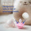 MAM MAM Perfect Soothers | 0-2 Months | 2 Pack | Newborn Dummies 3