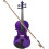 4/4 Violin Solid Wood Purple Acoustic Violin for Beginners String Instrument with High-Quality Strings 3