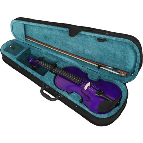 4/4 Violin Solid Wood Purple Acoustic Violin for Beginners String Instrument with High-Quality Strings 1