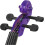 4/4 Violin Solid Wood Purple Acoustic Violin for Beginners String Instrument with High-Quality Strings 5