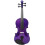4/4 Violin Solid Wood Purple Acoustic Violin for Beginners String Instrument with High-Quality Strings 4
