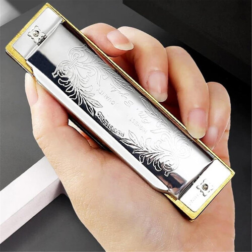 Professional 10 Hole Harmonica in C Key with Case, Durable Material, Ideal for Musicians and Beginners 2