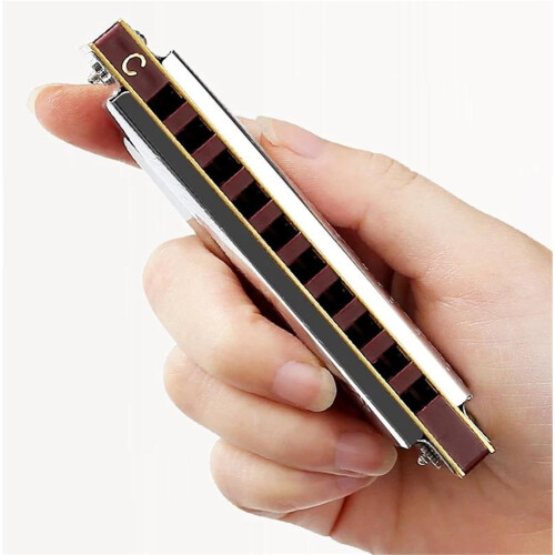 Professional 10 Hole Harmonica in C Key with Case, Durable Material, Ideal for Musicians and Beginners 1