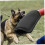 Dog Bite Sleeve 16.5 x 8 Inch Durable Training Sleeve with Handle Professional Interactive Dog Training Tool 3
