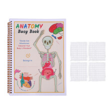 Human Body Anatomy Book for Toddlers Interactive