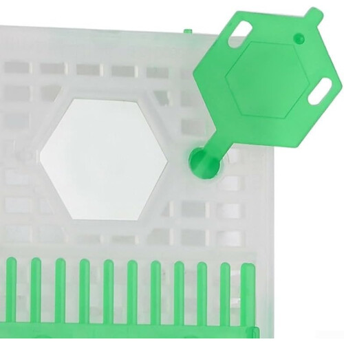 Queen Needle Cage for Beekeeping, Sturdy Plastic, Essential Tool for Beekeepers, Durable and Reliable Design 1