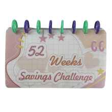 Piggy Bank Budget Book 52 Weeks Reusable Money Planner Binder Cash Envelope Organizer for Couples Pink Design