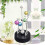 Perpetual Motion Revolving Ball Easy To Assemble 11