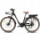 SameBike Veículo elétrico - SAMEBIKE - RS-A07 - 750W - 36V 13Ah - 28 polegadas 1