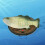 Singing Dancing Toy Electric Artificial Big Mouth Billy Bass Fish 4