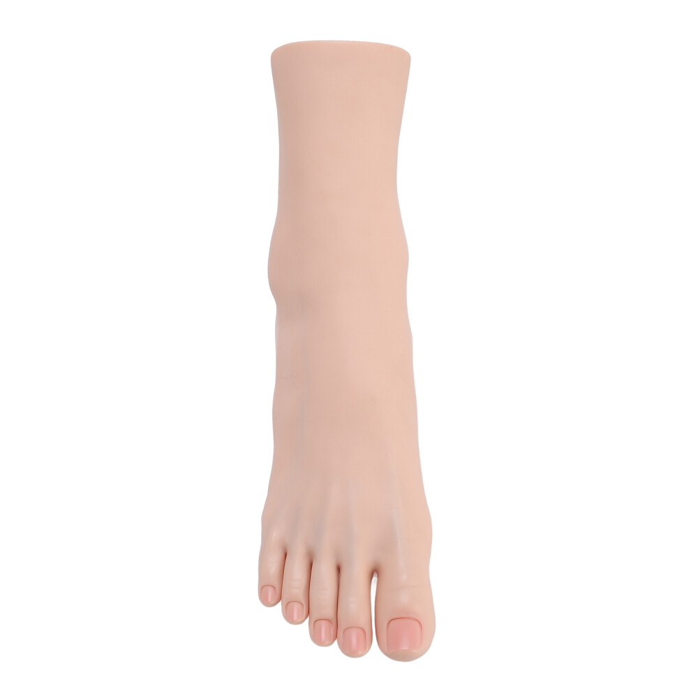Silicone Foot Model Soft Touch Flexible Joint