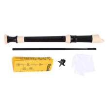 Oriolus 8 Hole Key of C ABS Soprano Recorder