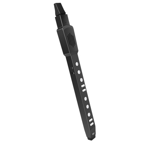 Digital Wind Instrument Portable Automatic 2