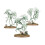 Games Workshop Nighthaunt: Spirit Hosts - Tabletop Miniatures Wargame 3