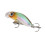 Mini-Krebsangelköder 5# Hartköder für Bass, Forelle, Hecht, Wels 4,3 cm 6
