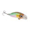 Mini-Krebsangelköder 5# Hartköder für Bass, Forelle, Hecht, Wels 4,3 cm 12