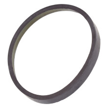 Langlebinger ABS-Ring A2303570182 passend für Mercedes-Benz W211