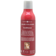 Surya Brasil Color Fixation Restative Conditioner 8.45 oz