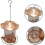 Wrought iron squirrel proof bird feeder 2
