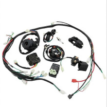 125cc 150cc 200cc 250cc Dirt Bike ATV QUAD ELECTRICS Zongshen Lifan Ducar Razor CDI Wire Harness Stator Assembly Wiring