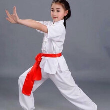 (White, 140) Chinese Kung Fu Wushu Martial Arts Uniform Tai Chi Short Sleeve Clothing Kids