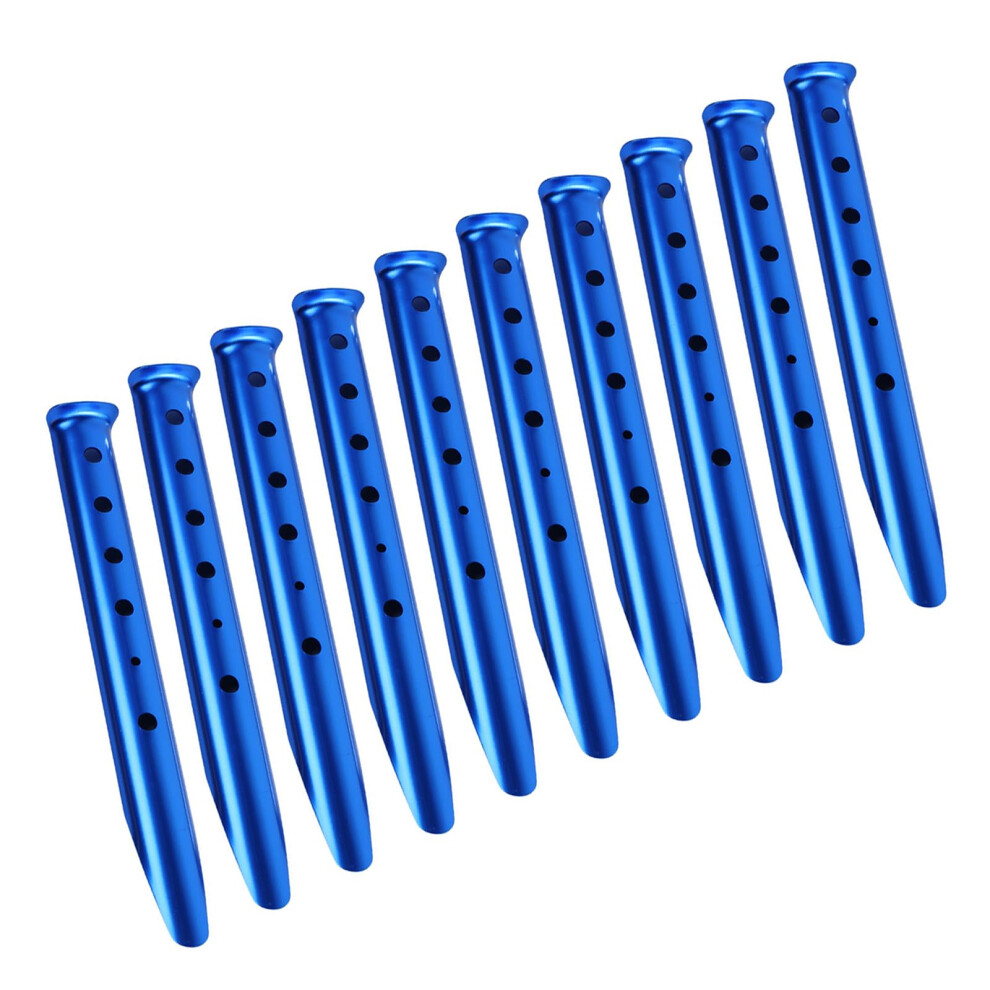 10 Lots Zeltstifte Camping Stake Spirals Edelstahl Zeltpfahl FÃ¼r Strandnutzung â Robuste und Sichere Zeltbefestigung-image-OPC-PK6JWPB-NEW