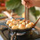 Living And Home 14-Hole Cast Iron Takoyaki Pan 1