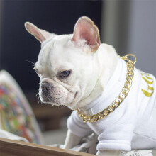 Geometrisches Goldenes Aluminium-Hundehalsband - Für alle Jahreszeiten, S/M/L