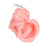 Angel Candles Soy Wax Scented Candles Cute 4