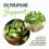 20MG Sulforaphane | from Broccoli Sprouts & Seed Extract | 565MG Mi... 2