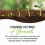20MG Sulforaphane | from Broccoli Sprouts & Seed Extract | 565MG Mi... 4