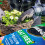 Miracle-Gro MiracleGro PEAT FREE Premium Moisture Control Compost 40 Litres Brown 4