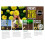 Miracle-Gro MiracleGro All Purpose Enriched Compost 40L 3