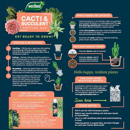 Westland Cacti Potting Mix 4L 1
