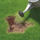 Miracle-Gro MiracleGro Patch Magic Grass Seed Feed and Coir 1015 g Green 3