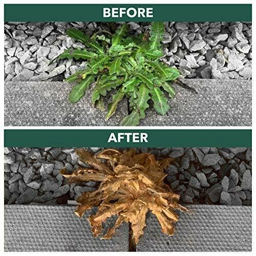 Weedblast Rootkill Concentrated Weedkiller 9 x 100ml Sachets Boxed 1